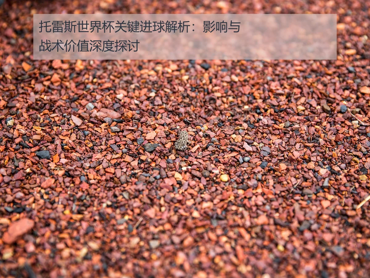 托雷斯世界杯关键进球解析：影响与战术价值深度探讨